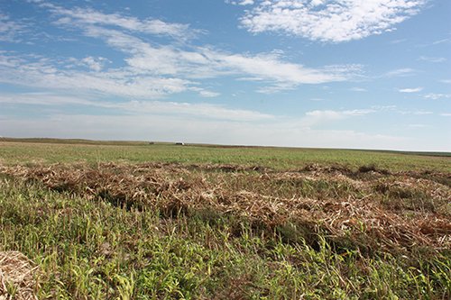 Property photo 80 - LAND AUCTION, 3255+/- Acres offered in 13 Tracts